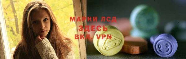 гашик Кулебаки