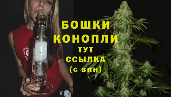 2c-b Лабытнанги