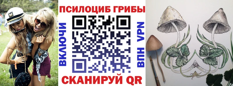 Галлюциногенные грибы Psilocybe  Купить где  Мончегорск 